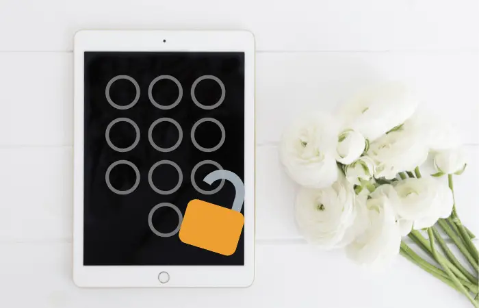 How to Unlock iPad Without Password