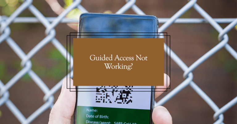 Guided Access Not Working